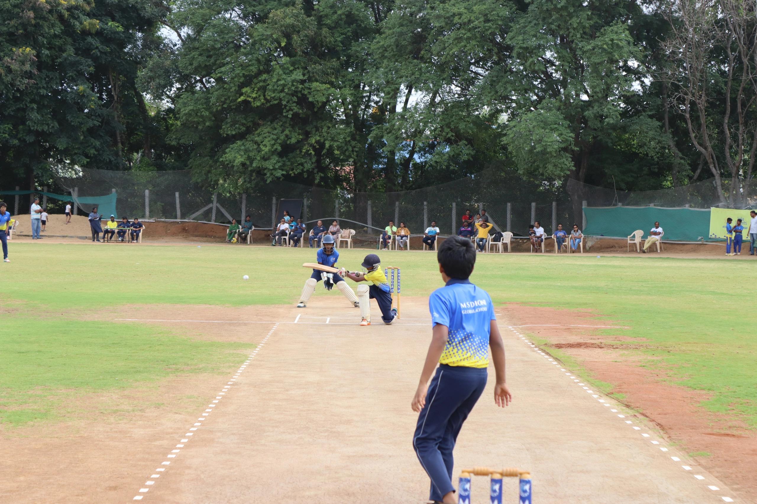 cricket-1