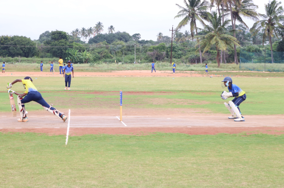 cricket