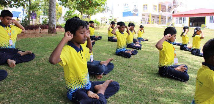 Hosur international schools