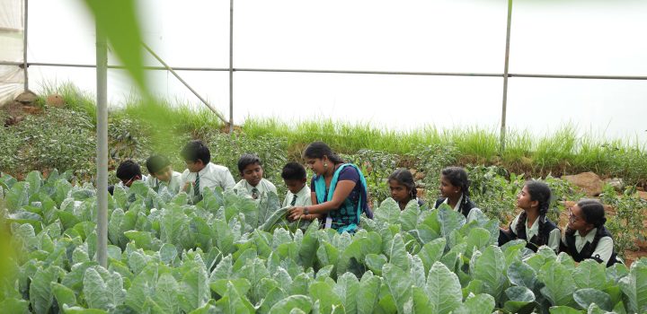 good schools in hosur